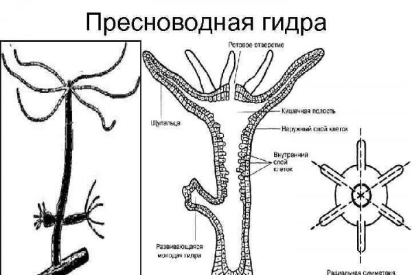 Kraken ссылка tor